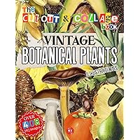 The Cut Out And Collage Book: Vintage Botanical Plants Illustrations: 400+ High Quality Print Images of Vintage Plants for Collage, Scrapbooking, and ... Mixed Media Artists (Cut Out & Collage Books)