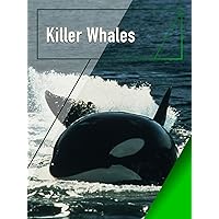 Killer Whales