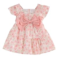 Toddler Girls Short Sleeve Bow Lace Dress Floral Prints Princess Dress Clothes Lolita Clothes