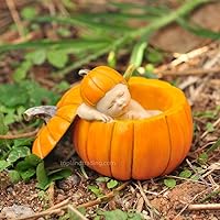 Miniature Fairy Garden and Terrarium Sleeping Fairy Baby in Orange Pumpkin Statue