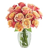 KaBloom PRIME NEXT DAY DELIVERY - Mother’s Day Collection - Serene Bouquet of 12 Orange Roses with Vase Gift for Birthday, Sympathy, Anniversary, Get Well, Thank You, Valentine, Mother’s Day Flowers