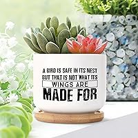 3 Piece Ceramic Planter a Bird is Safe in Its Nest But That is Not What Its Wings Small Pots for Succulents Christian Bible Verse Planter for Succulents with Drainage and Bamboo Tray