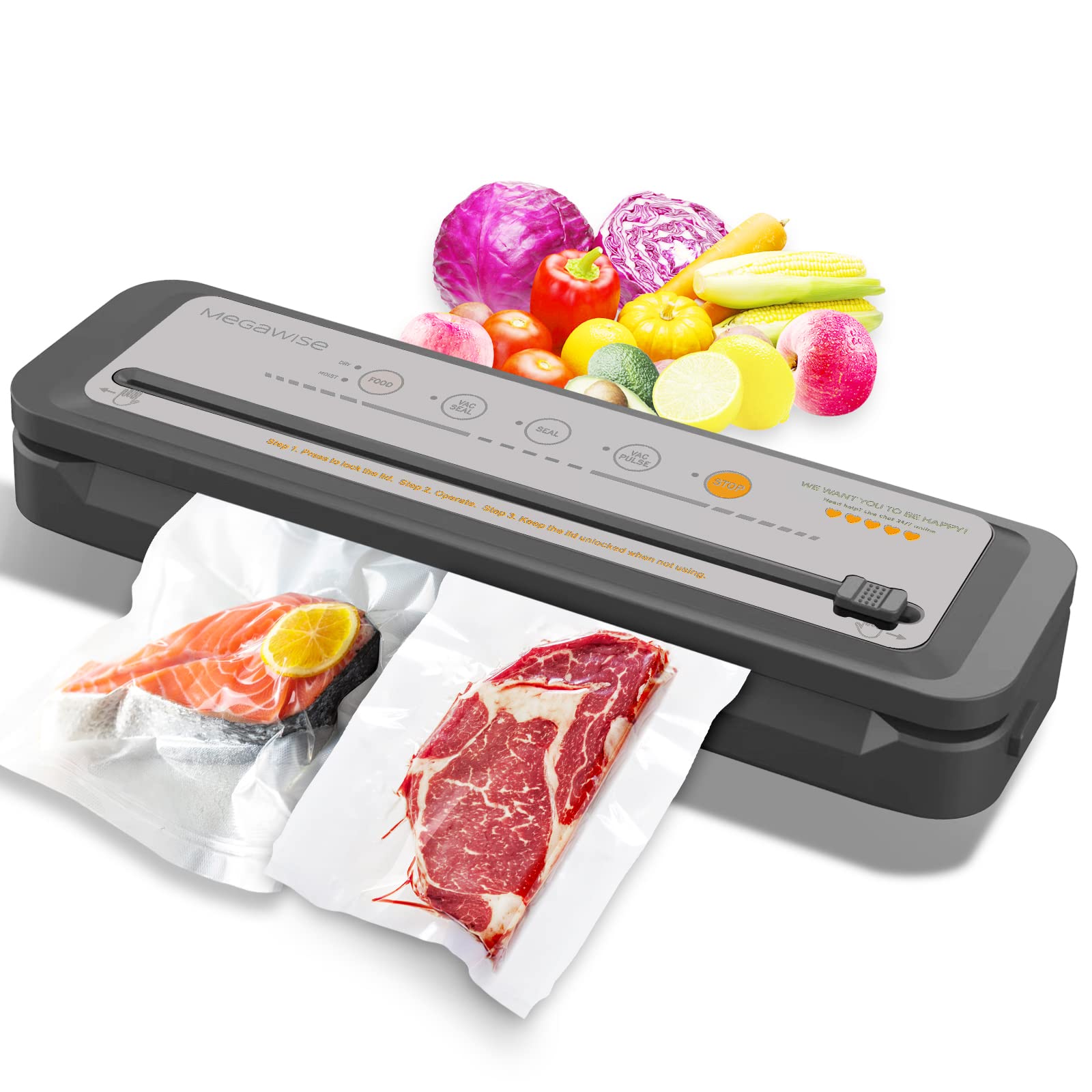 MegaWise Powerful and Compact Vacuum Sealer Machine (Silver Grey)