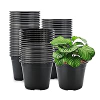 KINGLAKE GARDEN Plastic Plants Nursery Pot,4 Inch 120 PCS Seed Starting Pots,Plastic Pots for Plants with Drainage Holes,Seedling Flower Plant Container for Indoor Outdoor Plant (Black)
