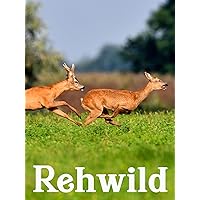 Rehwild