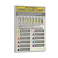 ZYTESV Health Poster Hospital Examination Section Poster Urine Hydration Chart Poster (2) Canvas Painting Wall Art Poster for Bedroom Living Room Decor 08x12inch(20x30cm) Frame-style