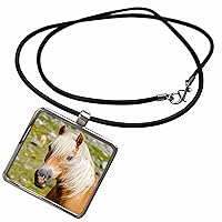3dRose Haflinger Horse on mountain pasture in Otztal Alps,... - Necklace With Pendant (ncl-380427)