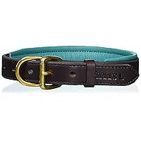 Padded Leather Dog Collars in Metallic and Bold Non-Metallic Colors