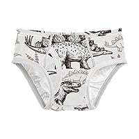Baby Boys' Briefs Toddler Boys Underwear 100% Cotton Soft Animal Dinosaurs Pattern 2T