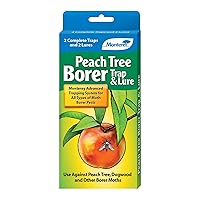 Monterey Peach Tree Borer Trap & Lure - 2 Pack