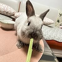 Bunny Chew Toys and Rabbit Treats, All Natural Material Suitable for Guinea Pig, Chinchilla, Hamster and Other Small Animals (Vegetable)