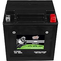 Interstate Batteries YIX30L-BS 12V 30Ah Powersports Battery 385CCA High-Performance AGM Rechargeable Replacement for Harley, Polaris, BMW Motorcycles, ATVs, UTVs, Snowmobiles (CYIX30L-BS)