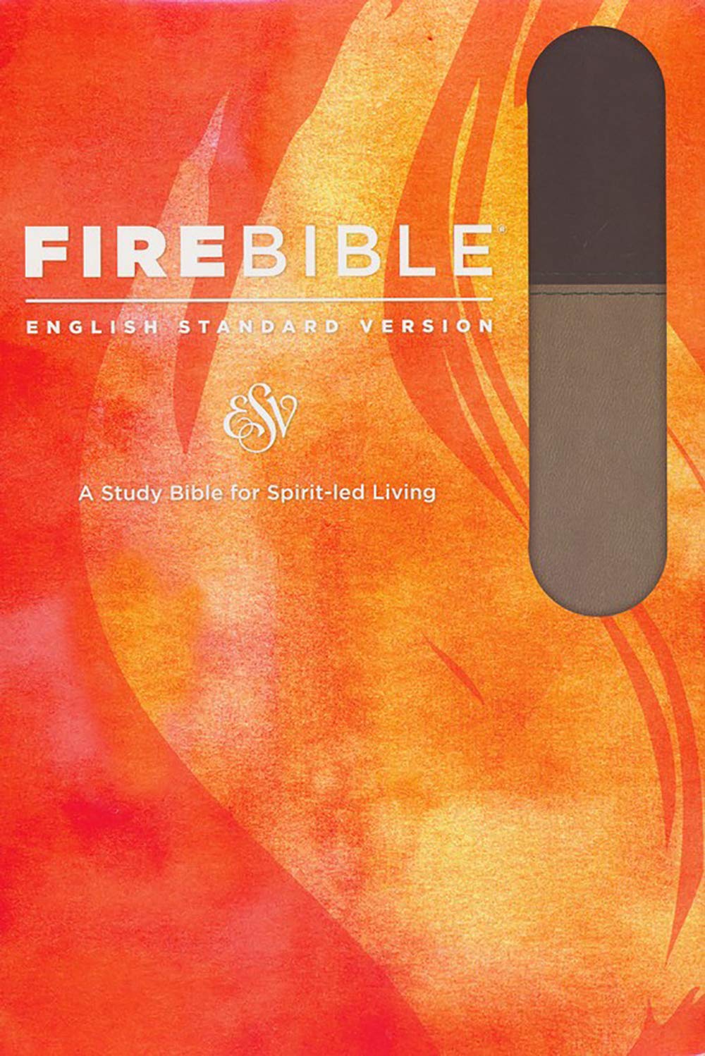 ESV Fire Bible, Flexisoft (Imitation Leather, Slate/Charcoal, Red Letter): English Standard Version