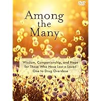 Among The Many: Wisdom, Companionship, and Hope for Those Who Have Lost a Loved One to Drug Overdose