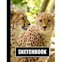 Sketchbook: Cheetahs Cover Design | White Paper | 120 Blank Unlined Pages | 8.5