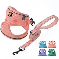 BELLA & PAL Puppy Harness with Leash Set, Dog Harness for Small Dogs No Pull, Dog Leash for Small Dogs, Step in Harness for Extra Small Dogs, Pink Harness, S