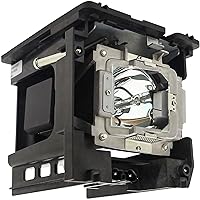 Original Projector Lamp Replacement for Optoma BL-FU365B DE.5811122724-SOT EH503e EH505e X605e Lamp with Housing