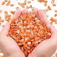 Crushed Shells for Crafts About 2LB (900g/31.74oz) Small Natural Crushed Shells Bulk for Crafts DIY Beaching Wedding Decoration Vase Fillers