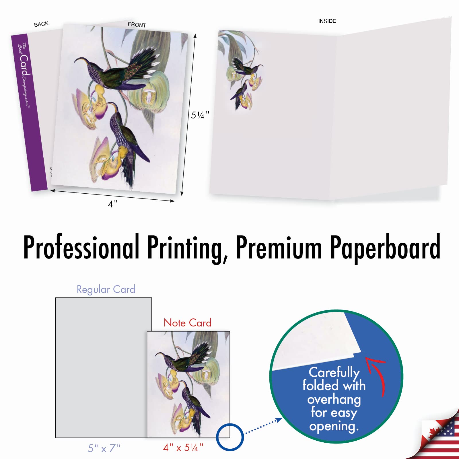 The Best Card Company - 10 Bird Note Cards Blank (4 x 5.12 Inch) - All Occasion Cards with Envelopes, Boxed Set - Humming Along M10034BK