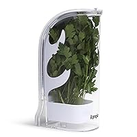 Fresh Herb Keeper and Storage Container - Premium Durable Plastic – Greens Savor Preserver, Keeps Fresh & Hydrates Cilantro, Thyme, Mint, Parsley and Asparagus for Long lasting Spices