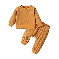 Cute Girls Clothes Toddler 2PCS Set Solid Apparels Kid Cute Outfits Kid Ribbed Easy to Wear Long Sleeve Tops and Pants (Gold, 9-12 Months)