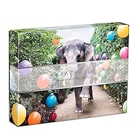 Gray Malin at The Parker Double-Sided Puzzle, 500 Pieces, 24” x 18” – Art Jigsaw Puzzle Featuring Malin’s Iconic Photography–Thick, Sturdy Pieces, Challenging Family Activity, Great Gift Idea