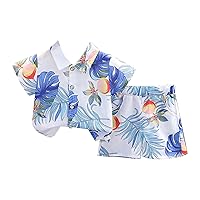 Toddler Boys Lapel Short Sleeve Tropical Botanical Print Set Shirt And Shorts Suit For Boys 4t Boys