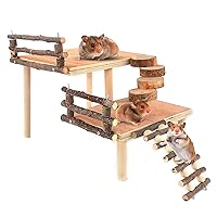 Hamster Climbing Toys Wooden Two-Tier Hamster Playground Activity Platform with Bridge Apple Wood Chewing Toys for Small Pets (Large)