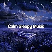 Sleeping Music Sleeping Music MP3 Music