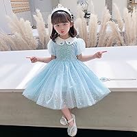 Princess Aisha Dress 2022 Summer Girls Frozen Birthday Festival Elsa Puff Sleeve Dress Skirt 110cm Blue Single Skirt