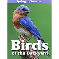 Birds of the Backyard: Spring in to Summer