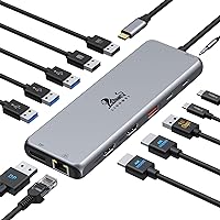 13 in 1 USB C Docking Station - Dual Monitor, Triple Display, 8 USB C/A Ports, Ethernet, Audio - For MacBook, Dell, HP, Lenovo, Surface
