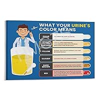 DFHEJG Hospital Examination Department Poster Urine Hydration Chart Art Poster (2) Canvas Painting Posters And Prints Wall Art Pictures for Living Room Bedroom Decor 12x08inch(30x20cm) Frame-style