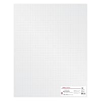Office Depot Foam Board with Grid, 3/16in. Thick, 20in. x 30in., White, Pack of 2, 72725