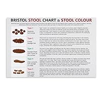 EDUKAT Bristol Stool Chart Diagnosis Constipation Diarrhea Chart Art Poster (4) Canvas Painting Posters And Prints Wall Art Pictures for Living Room Bedroom Decor 18x12inch(45x30cm) Unframe-style