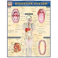 Digestive System (Quick Study Academic) Digestive System (Quick Study Academic) Cards