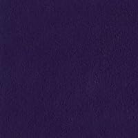 Bazzill Basics Paper T19-6134 Prismatic Cardstock, 25 Sheets, 12 by 12-Inch, Classic Purple