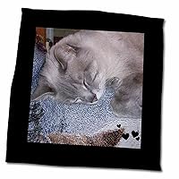 3dRose Cute Sleeping Grey White Siamese Cat Photo - Towels (twl-242444-3)