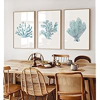 3 Piece Framed Art Prints Coral Sea Fans Poster Pictures Turquoise Blue Canvas Wall Painting for Home Beach House Coastal Decoration with Inner Frame