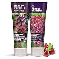 Desert Essence Italian Red Grape Shampoo & Conditioner Bundle - 8 Fl Ounce - Protection For Color Treated Hair - Antioxidant - Vitamin B5 - Natural - Protect Hair From UV Filters