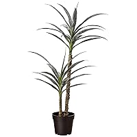 Amazon Basics Artificial Yucca Plant with Plastic Nursery Pot, 40-Inch, Medium