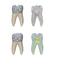 Creative Co-Op Vintage Reproduction Cement Dental Anatomy Diagrams, Multicolor, Set of 2