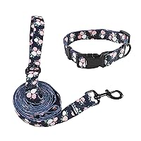 Unisex Pet Collar and Leash Set, Floral, Large
