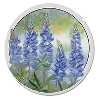 Thirstystone Bluebonnets 4 Pack Absorbent Stone Coasters with Protective Cork Backing Manufactured in The USA Artistic Absorbent Easily Wipes Clean