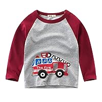 Kids Toddler Baby Boys Dinosaur T Shirt Long Sleeve Crewneck Pullover Tee Tops Autumn Clothes Boy Clothes 2t