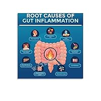 SLRSWMYS Root Causes of Gut Inflammation Poster Hospital Gastroenterology Canvas Painting Wall Art Poster for Bedroom Living Room Decor 16x16inch(40x40cm) Unframe-style