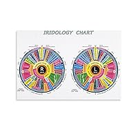 Posters Iridology Chart Wall Art Science Education Anatomy Wall Art Canvas Art Poster Picture Modern Office Family Bedroom Living Room Decorative Gift Wall Decor 24x36inch(60x90cm) Unframe-Style