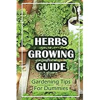 Herbs Growing Guide: Gardening Tips For Dummies