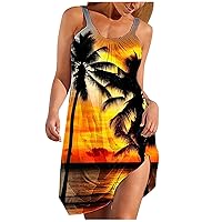 Womens Summer Vacation Sundress Sleeveless Boat Neck Tunic Tank Dresses Funny Coconut Palm Print Mini Beach Dress