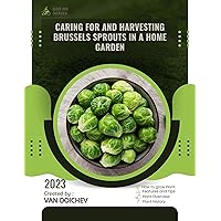 Caring for and harvesting Brussels sprouts in a home garden: Guide and overview